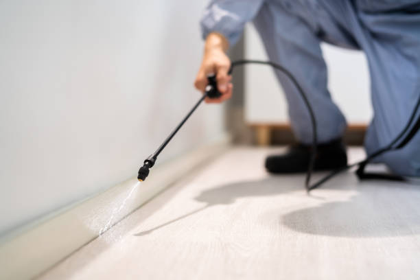 Bed Bug Pre-Treatment Preparation Assessment in Nellis AFB