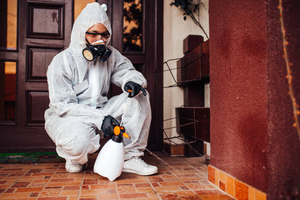 Multi-Unit and Airbnb Bed Bug Protocol in Nellis AFB