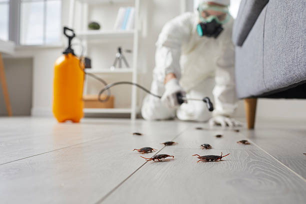 Post-Treatment Bed Bug Interceptor Monitoring in Nellis AFB