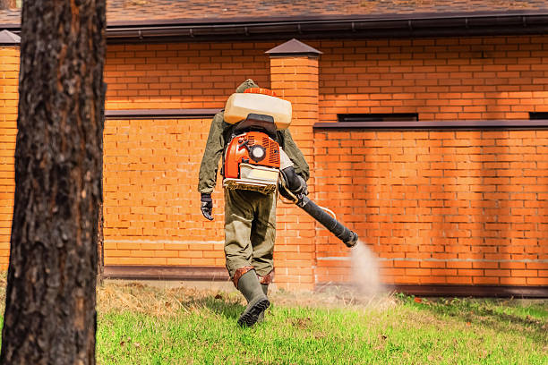 Bed Bug Clearance Verification and Documentation in Nellis AFB